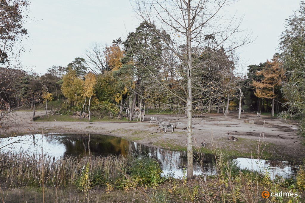 Cadmes Event 2025-106