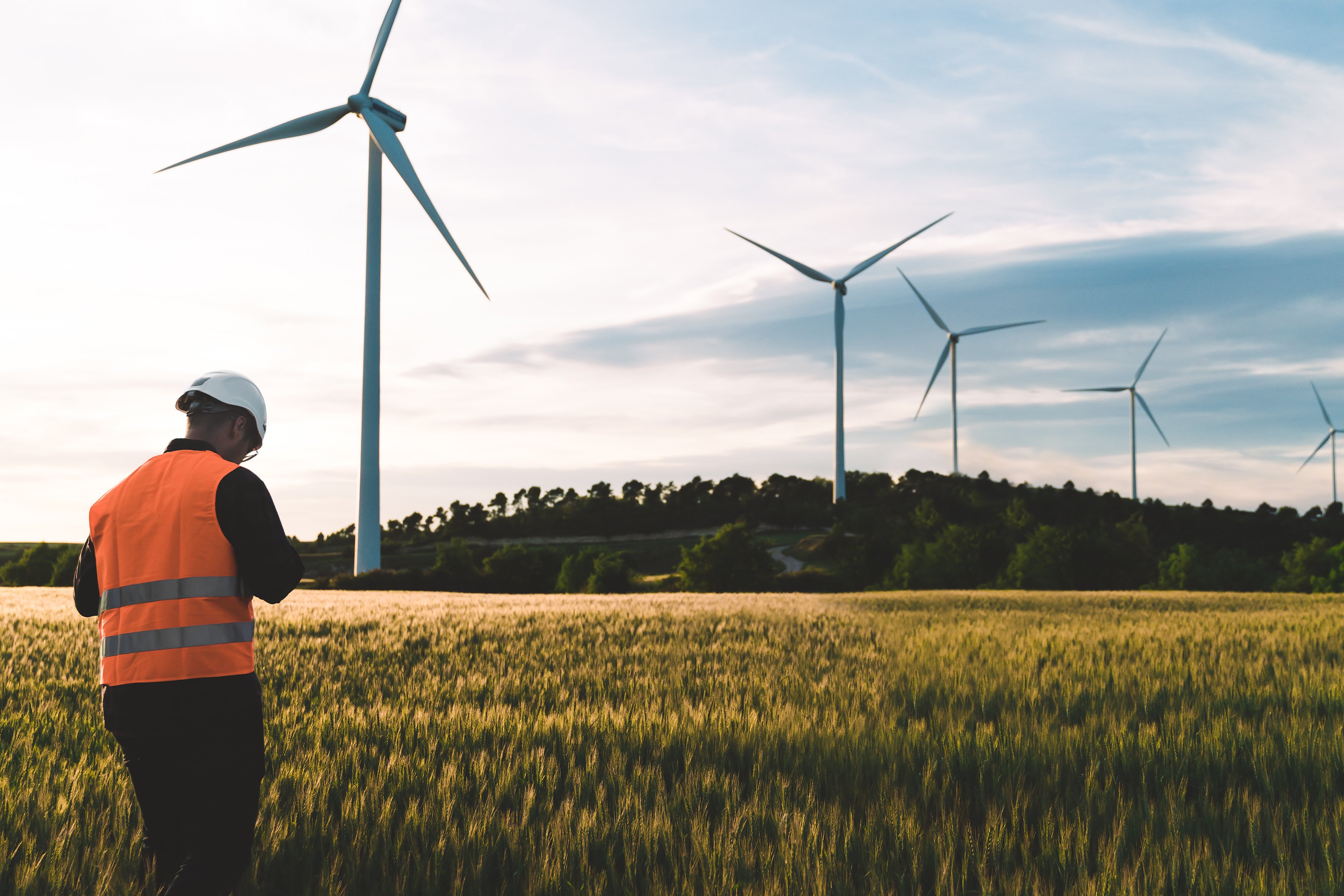 engineer-working-at-alternative-renewable-wind-ene-2021-09-03-22-28-12-utc